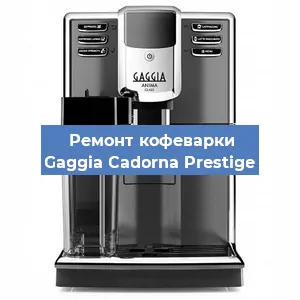 Чистка кофемашины Gaggia Cadorna Prestige от накипи в Красноярске